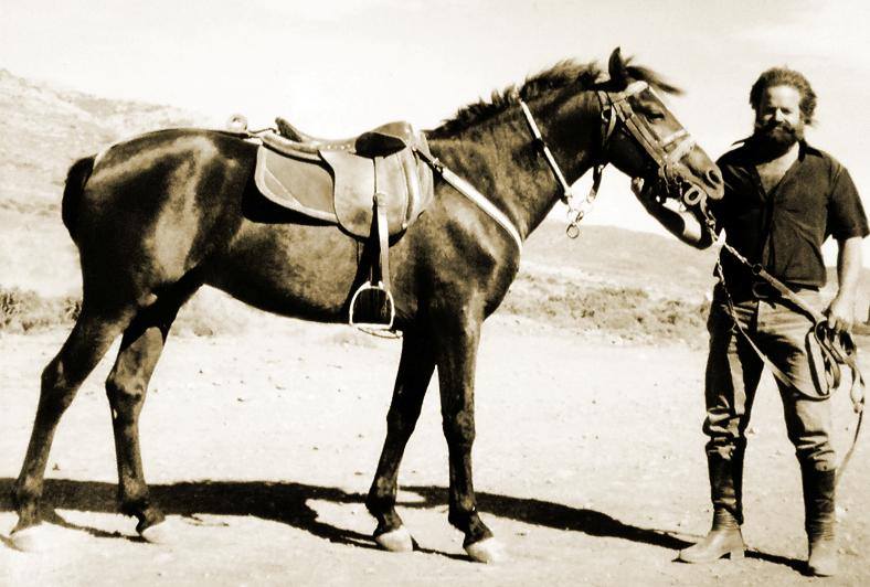 Cretan Horse (Messara)